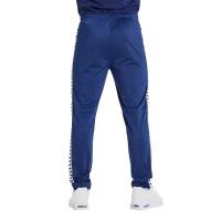 Штани спортивні Arena M Relax IV Team Pant