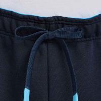 Штани спортивні Arena TEAM PANT SOLID