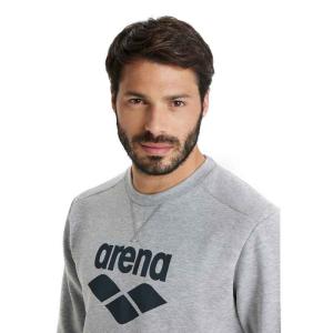 Реглан CREW SWEAT LOGO