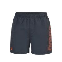 Шорти FUNDAMENTALS ARENA LOGO BOXER R