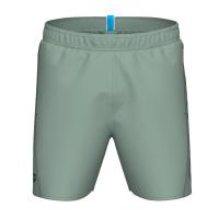Шорти FUNDAMENTALS ARENA LOGO BOXER R