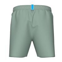 Шорти FUNDAMENTALS ARENA LOGO BOXER R