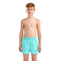 Шорти дитячі BEACH SHORT LOGO R