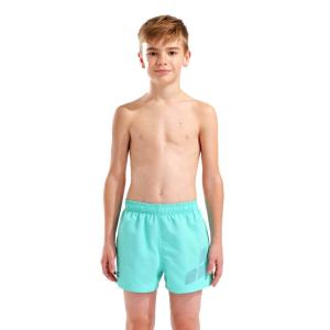 Шорти дитячі BEACH SHORT LOGO R