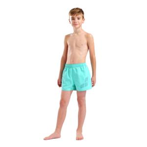 Шорти дитячі BEACH SHORT LOGO R
