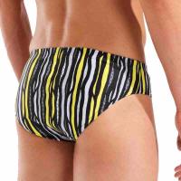 Плавки STRIPES SWIM BRIEFS