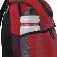 Рюкзак TEAMSTER 2.0  RED