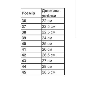 Тапочки  ASPEN