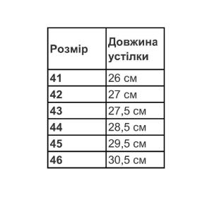 Тапочки IDAHO
